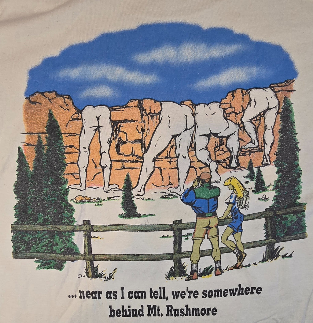 Mount Rushmore T-Shirt Mens M Fruit of the Loom USA Americana Retro Tourist Tee