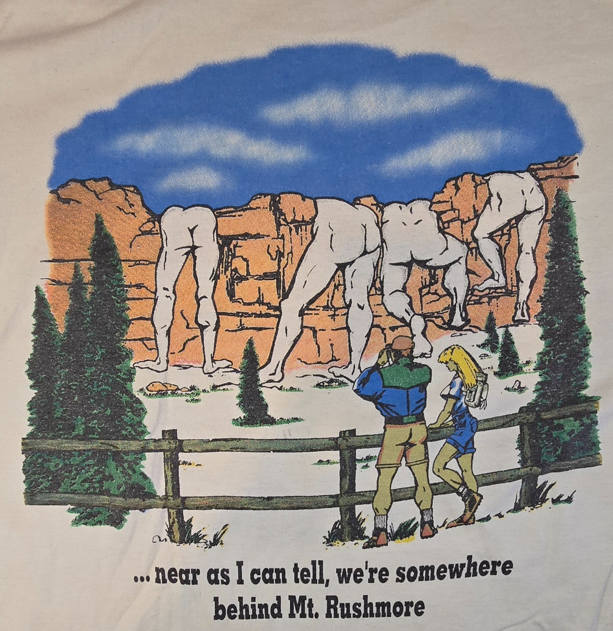 Mount Rushmore T-Shirt Mens M Fruit of the Loom USA Americana Retro Tourist Tee
