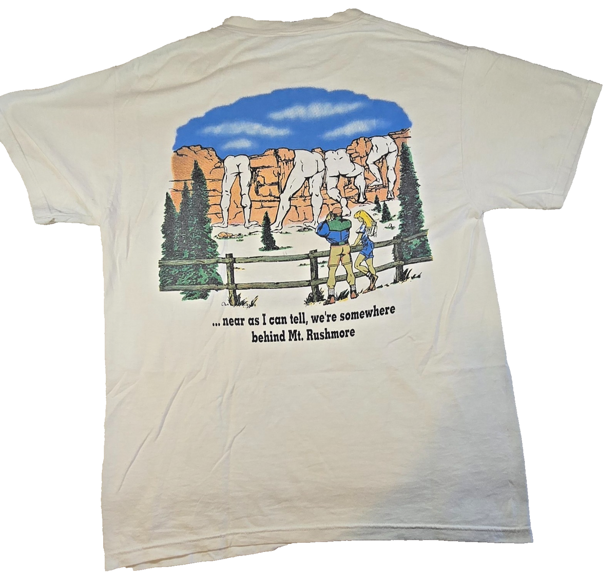 Mount Rushmore T-Shirt Mens M Fruit of the Loom USA Americana Retro Tourist Tee