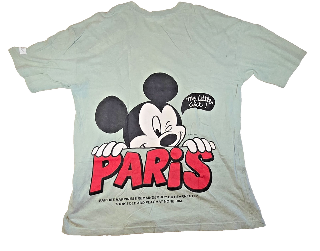 Disney Mickey Mouse Paris T-Shirt Mens XL Green Cotton Large Back Print Graphic