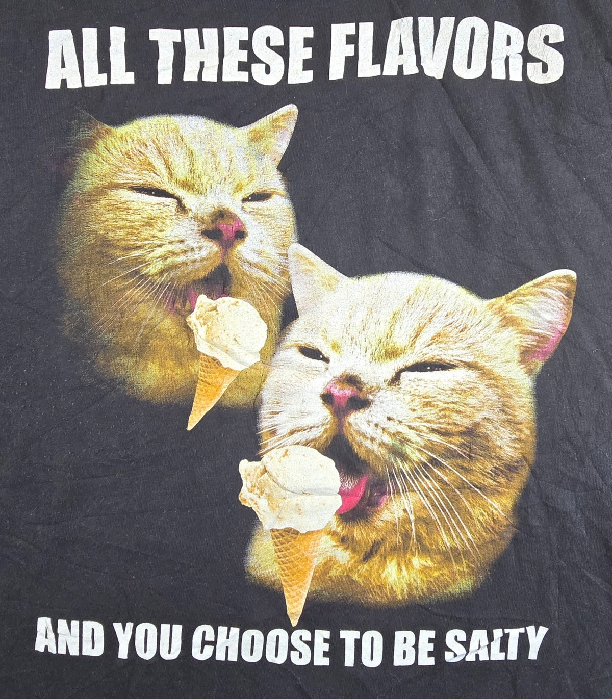 Walnut & 39th Cat T Shirt Large L Black Funny Salty Ice Cream Meme Graphic Tee