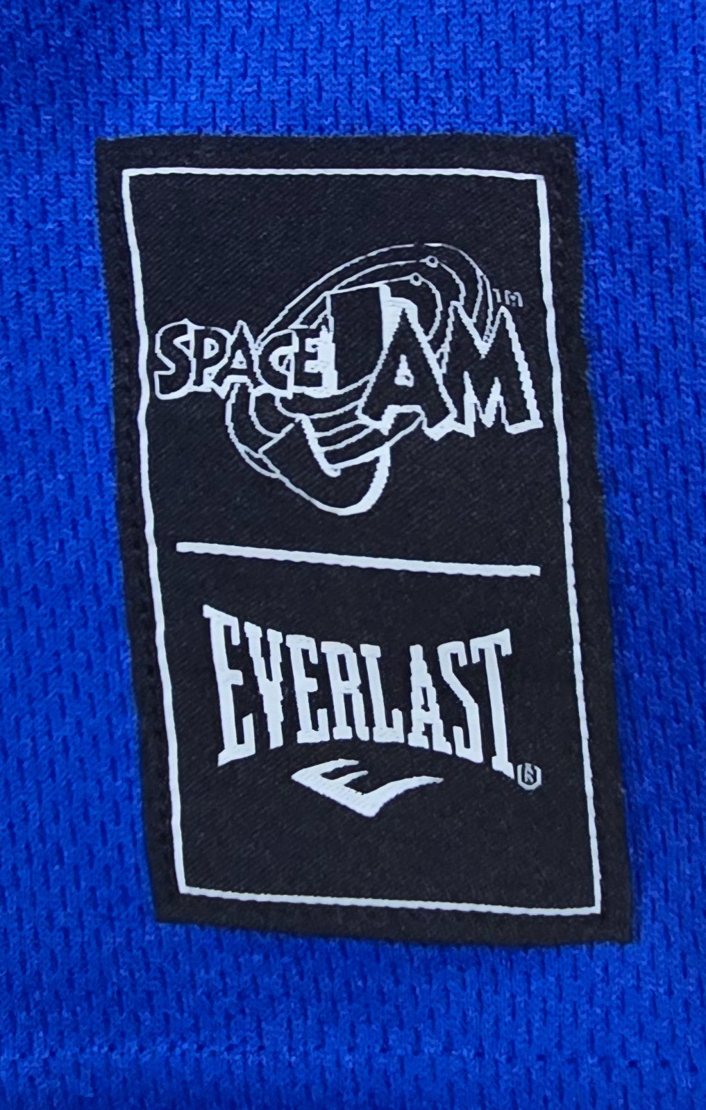 Space Jam Everlast Basketball Jersey Size 16 Bugs Bunny Looney Tunes 96 Blue