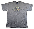 Prairie Mountain Rocky Mountain National Park T Shirt Large L Colorado Grey Tee
