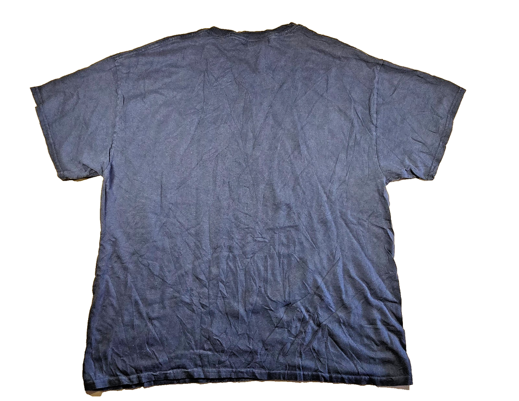 High Falls Gorge T Shirt MV Sport Blue Large XL Adirondacks New York USA Tee
