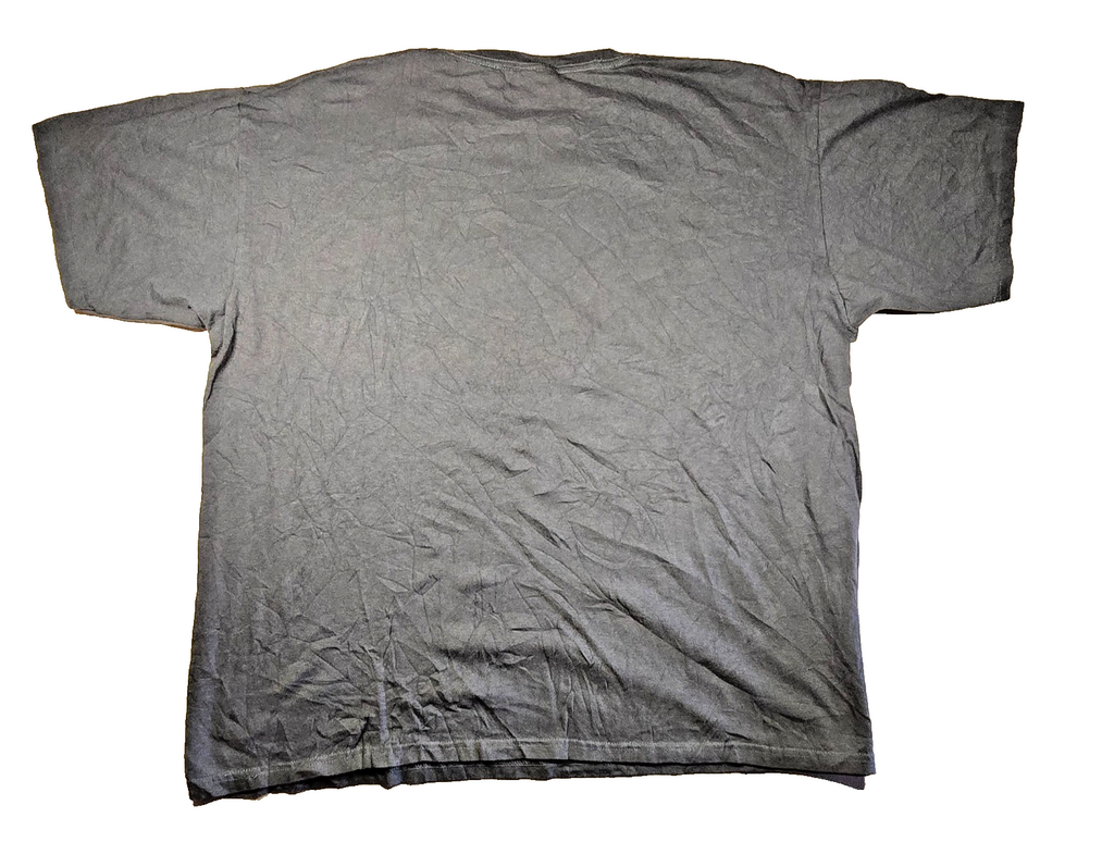 Aerosmith T Shirt 2XL XXL Grey Anvil Rock Band Wings Logo Steven Tyler Tee
