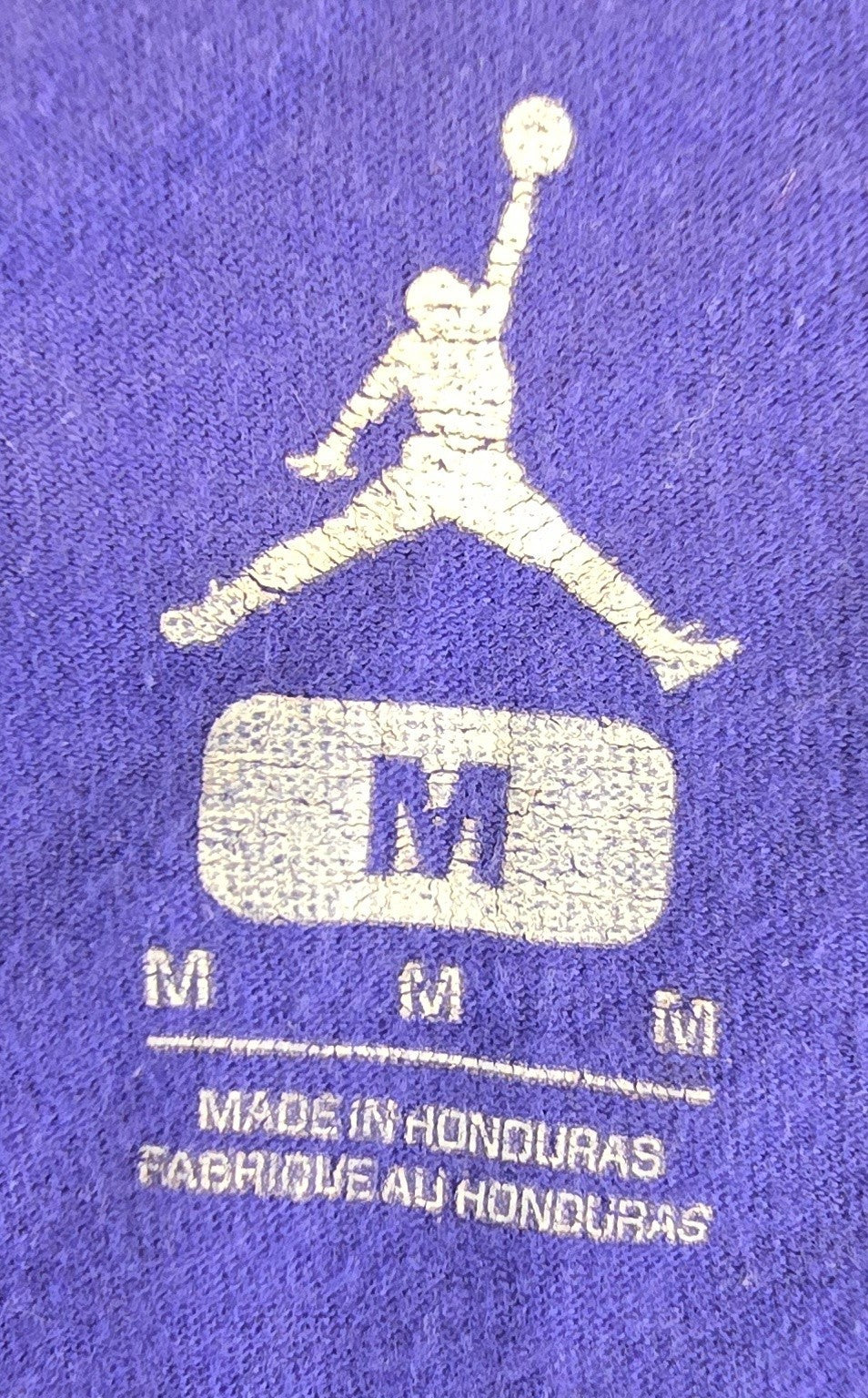Nike Air Jordan Space Jam 20th Anniversary T Shirt Medium Purple Looney Tunes