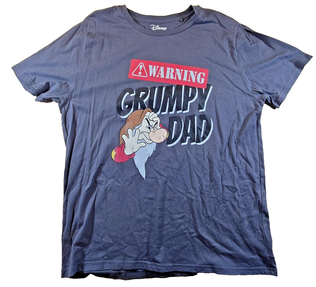 Disney Grumpy Dad T Shirt XL Grey Seven Dwarfs Warning Funny Fathers Graphic Tee