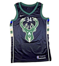 Nike NBA Milwaukee Bucks Giannis Antetokounmpo #34 Basketball Jersey Size 40