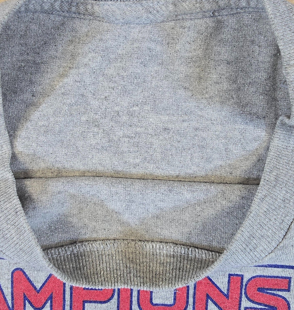 New England Patriots 2007 AFC Champions Long Sleeve T Shirt NFL Super Bowl XLII