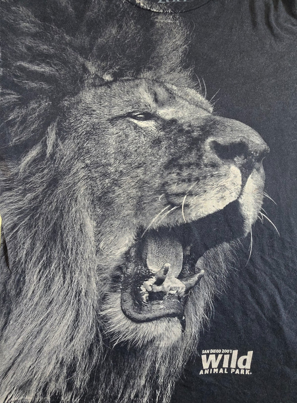 San Diego Zoo Wild Animal Park Lion T Shirt XL Black Big Cat Graphic 100% Cotton