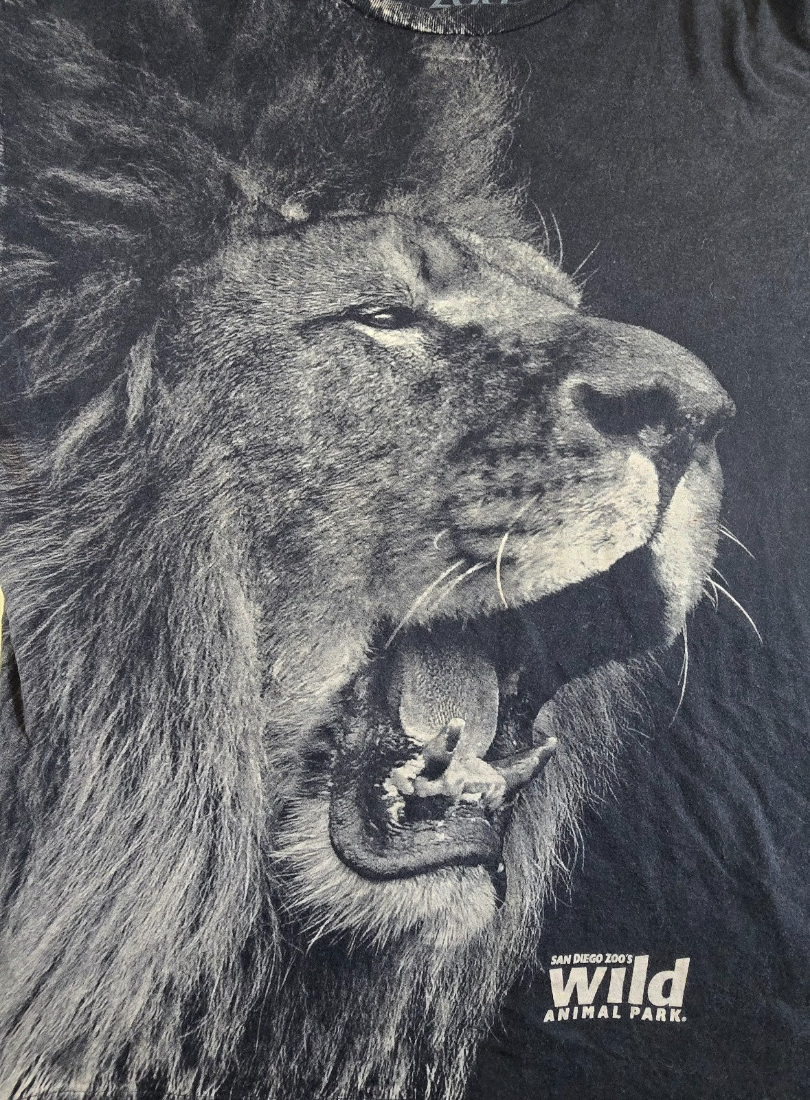 San Diego Zoo Wild Animal Park Lion T Shirt XL Black Big Cat Graphic 100% Cotton