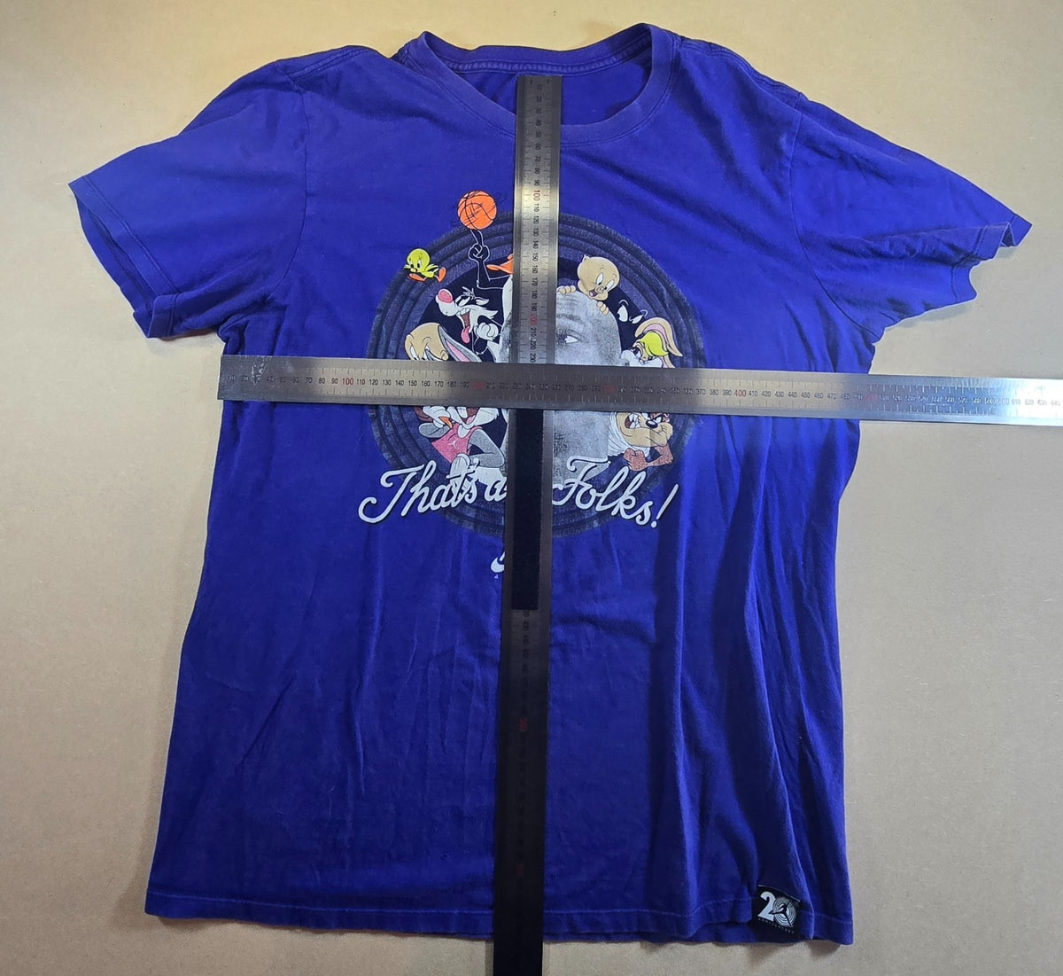 Nike Air Jordan Space Jam 20th Anniversary T Shirt Medium Purple Looney Tunes