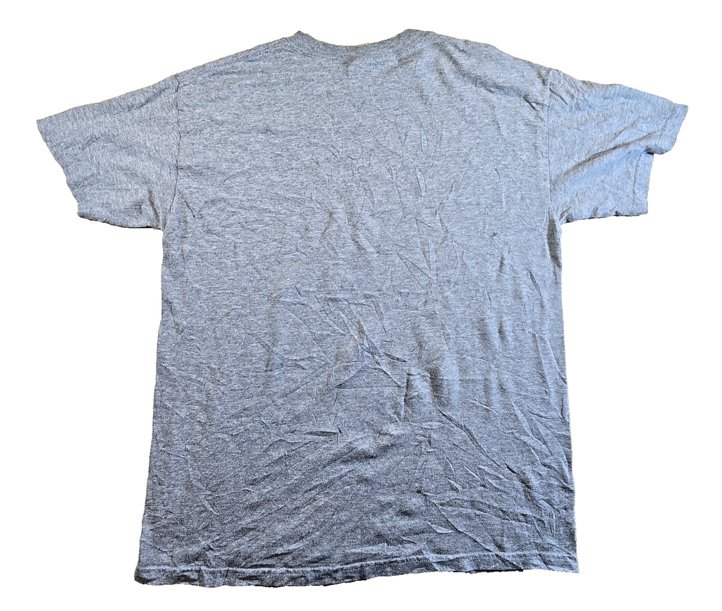 Horse Riding T Shirt Medium Grey Gildan To Ride Or Not To Ride Equestrian Tee M