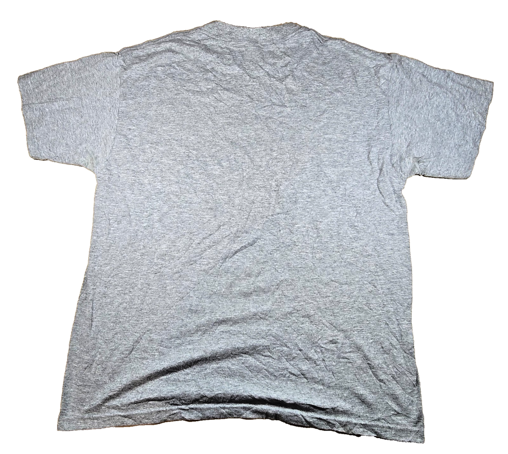 Fruit Of The Loom Best Chicago Windy City T Shirt Large L Grey USA Vintage Style