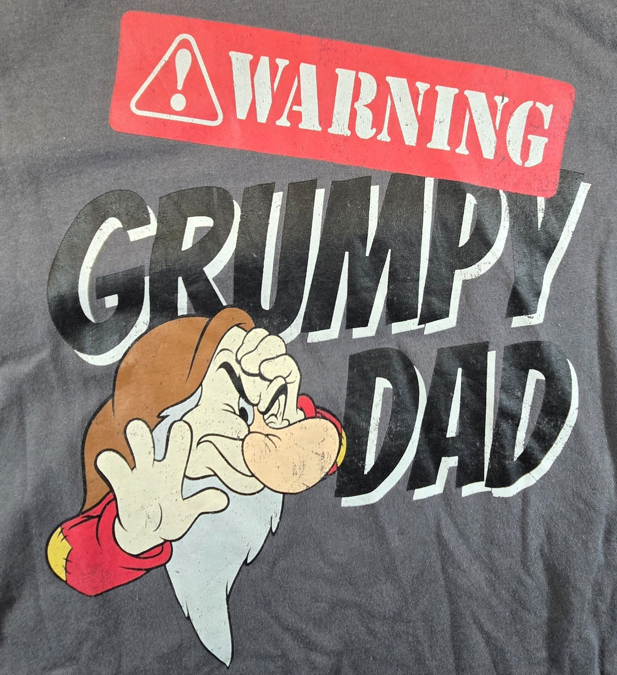 Disney Grumpy Dad T Shirt XL Grey Seven Dwarfs Warning Funny Fathers Graphic Tee